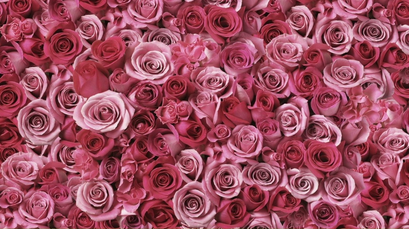 Марта Яцків | Львов