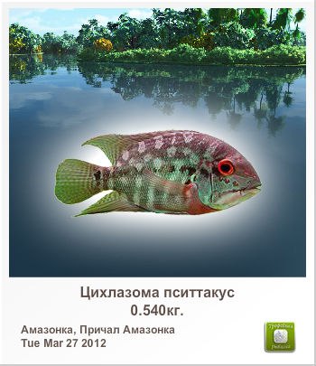 Владимир Куличенко | Арциз