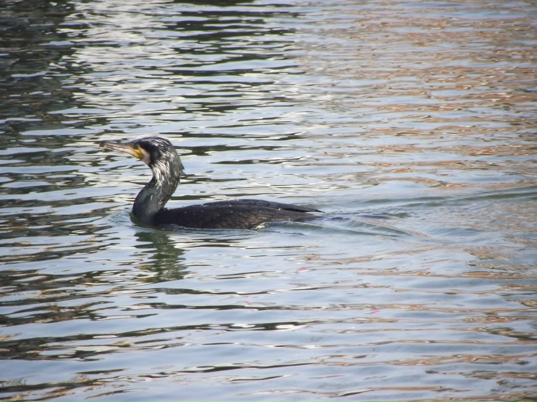 Маргарита Евдокимова | Краснодар