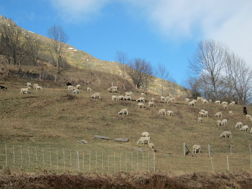 Оксана Кулик | Madrid