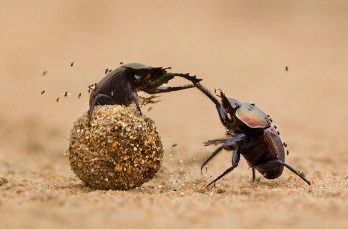 №66, Дмитрий Матросов, Реутов №66, Дмитрий Матросов, Реутов