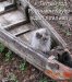 Игорь Головин фотография #37 (источник - https://vk.com/id38079637)