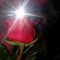 Дарья Морева | 