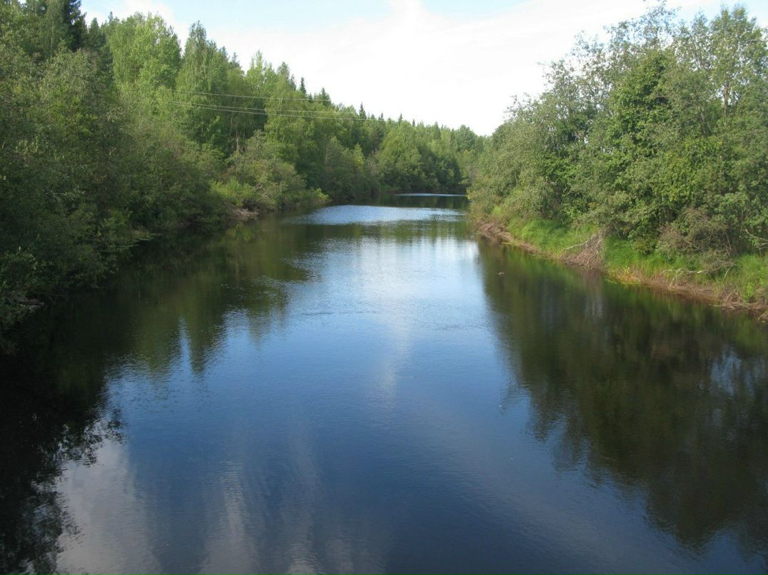 Петр Чебадухин | Москва