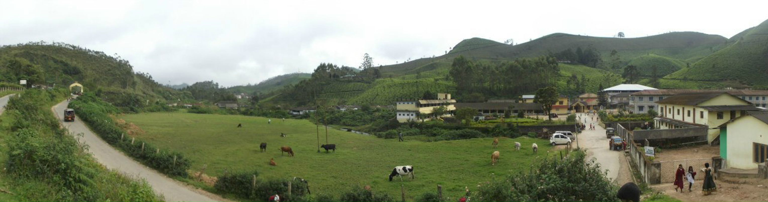 Игорь Гоголев | Тель-Авив