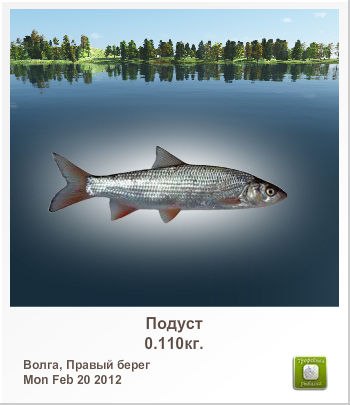 Den Super | Черкассы