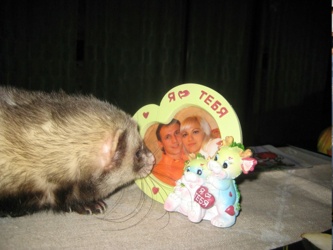 Валентина Сербин | Витебск