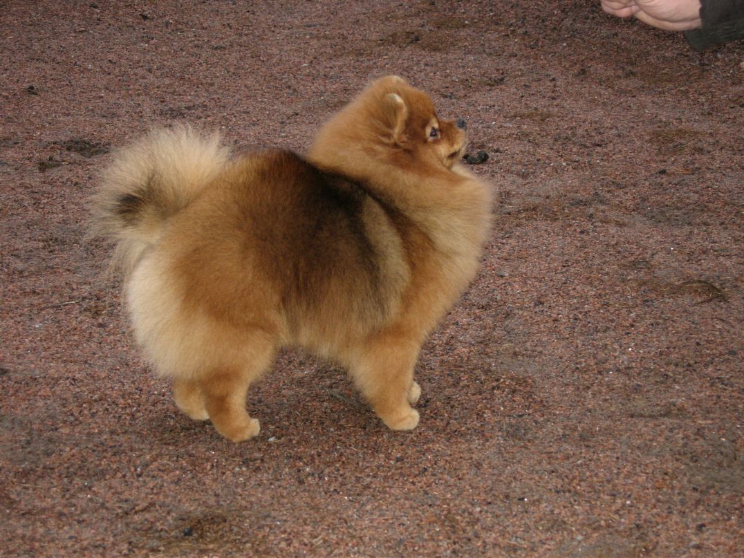 Андрей Максютенко | Санкт-Петербург