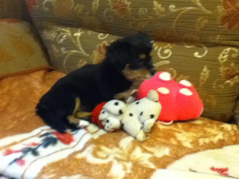 Светлана Иванова | Псков