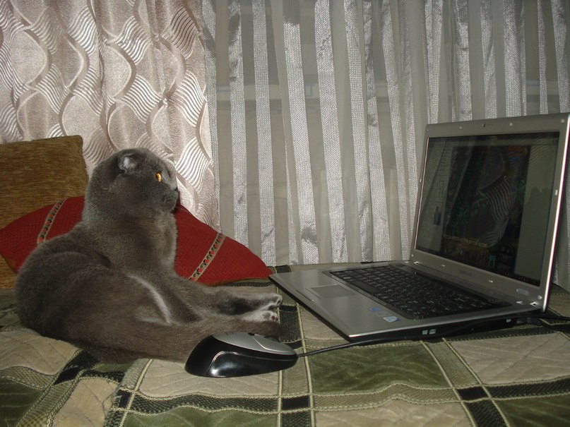 Виктория Грунская | Донецк