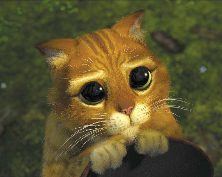 №72, Любовь Семёнова, 37 лет, Санкт-Петербург №72, Любовь Семёнова, 37 лет, Санкт-Петербург