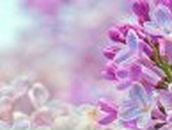 Александра Пигарева | Харьков