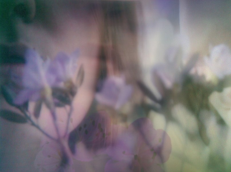 Ульяна Хромова | 