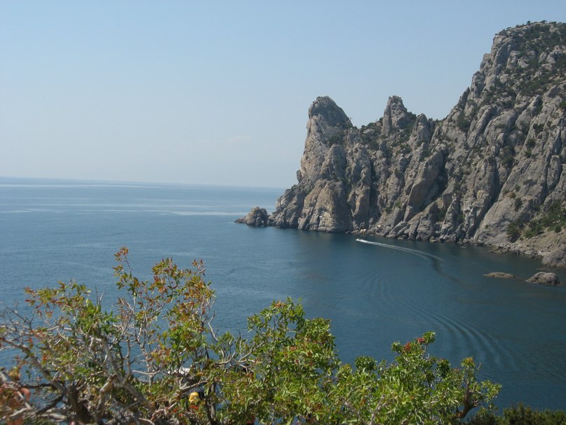 Александр Анеликов | Евпатория