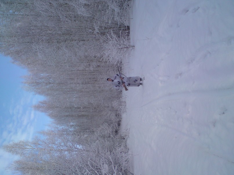 Александр Кривошеев | 