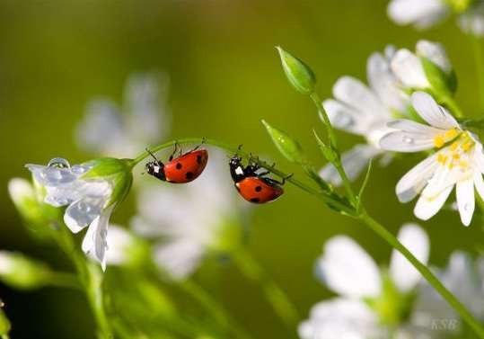 №138, Наташа Яковенко, Краснодар №138, Наташа Яковенко, Краснодар