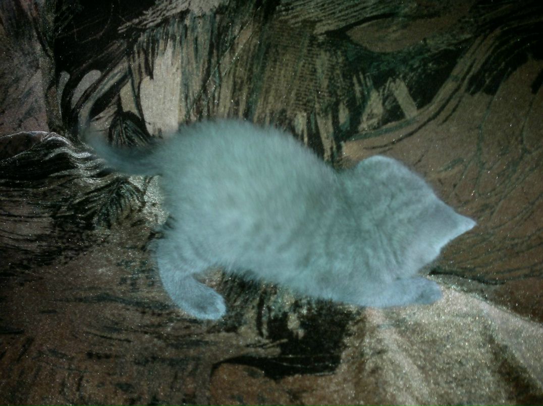 Диана Исламгулова | Уфа