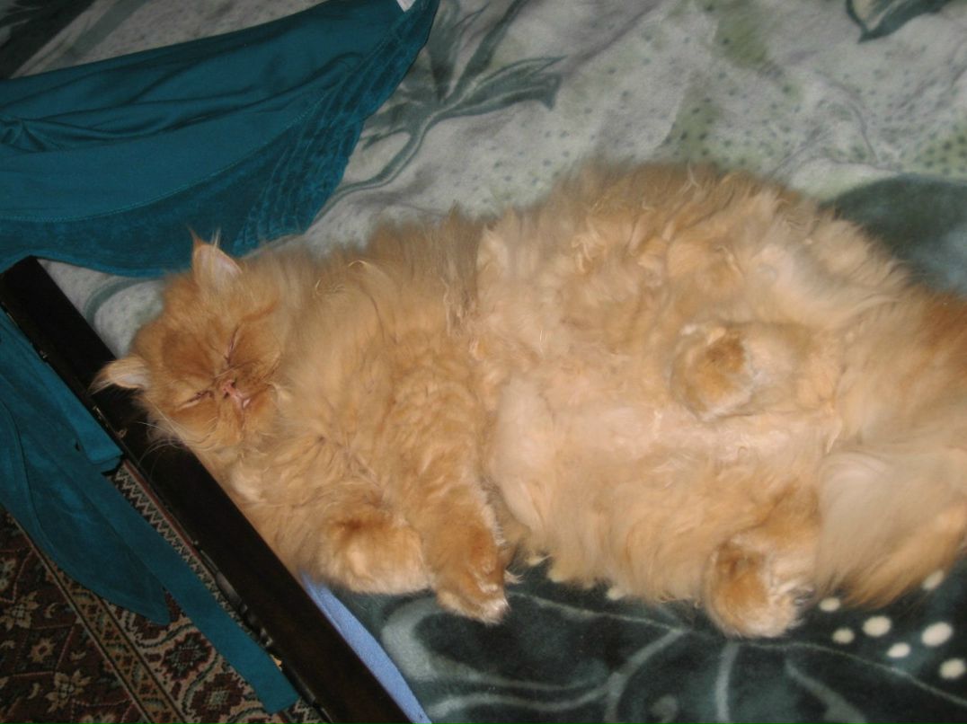 Артем Гнилицкий | Константиновка