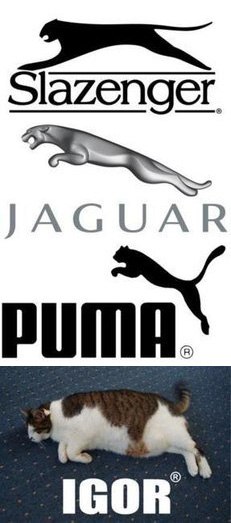 Игорь Васильев | Санкт-Петербург