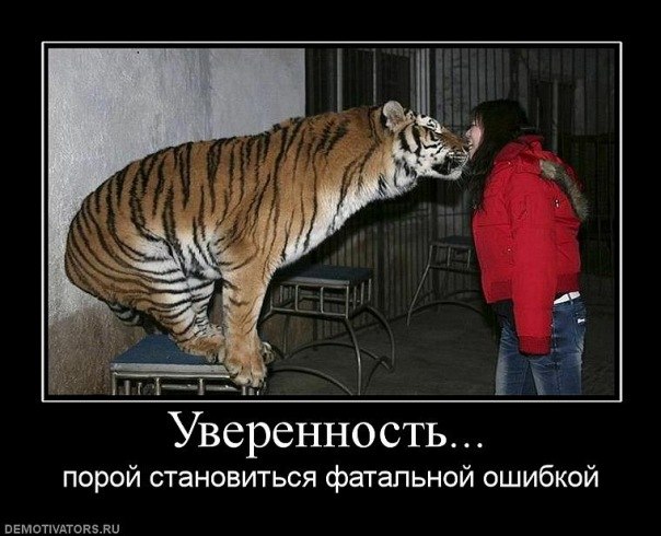 Самоуверенность орла цитата