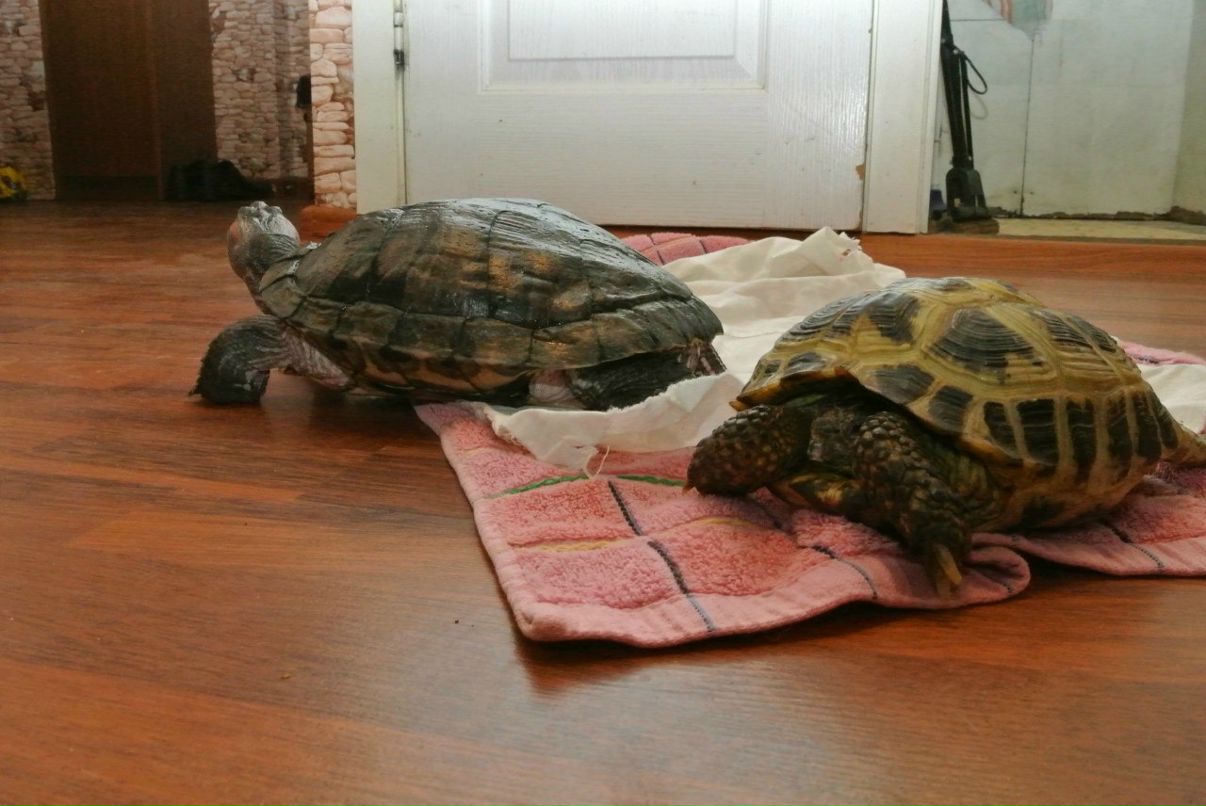 Тамара Рульникова | Москва