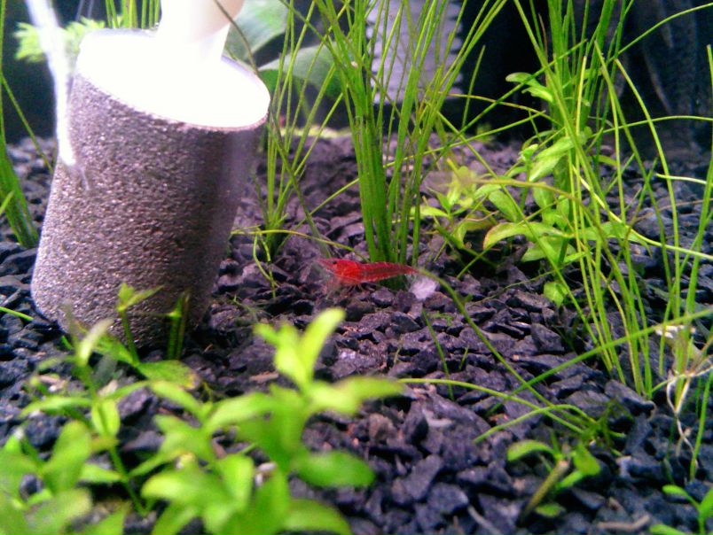 №62, Роман Билоненко, 38 лет, Одесса №62, Роман Билоненко, 38 лет, Одесса