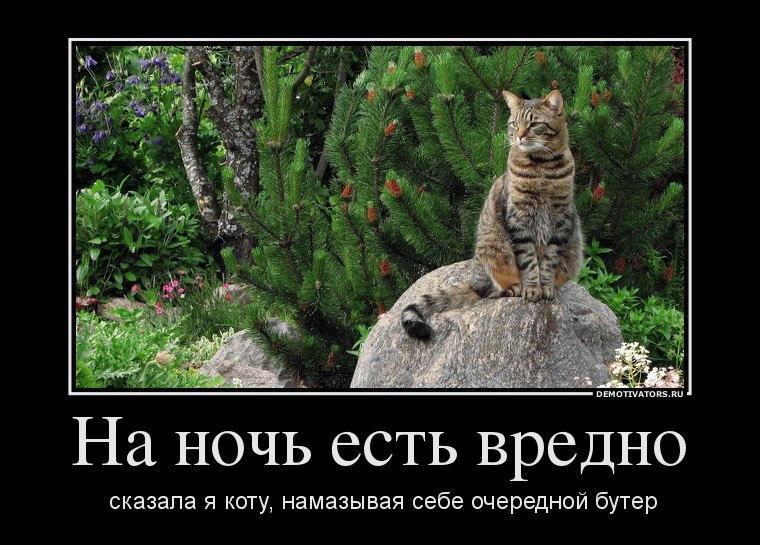 Юра Малиновский | Нежин