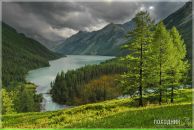 №19 Сергей Громов : профиль, фото, статус - ВКонтакте