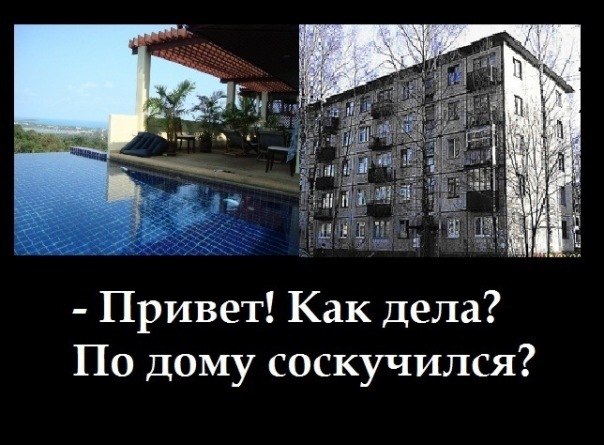 №67, Елена Шаменкова, Санкт-Петербург №67, Елена Шаменкова, Санкт-Петербург
