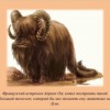 Аватар: Qaz Qaz