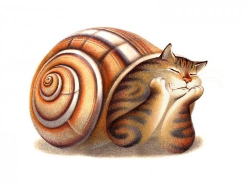 Татьяна Суслова | Пермь