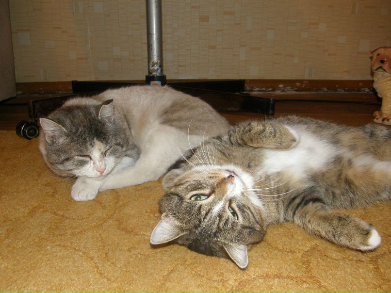 Ирина Виноградова | Пышма