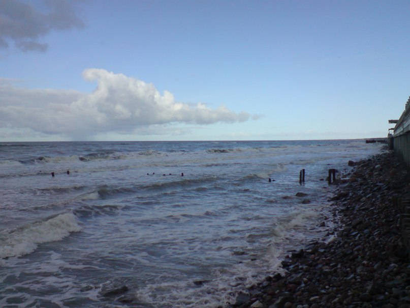 Светлана Шитикова-Гуськова | Калининград