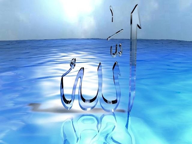 Хаким Гаджиев | Волгоград