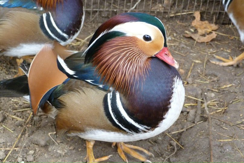 Алёна Мартынюк | Севастополь