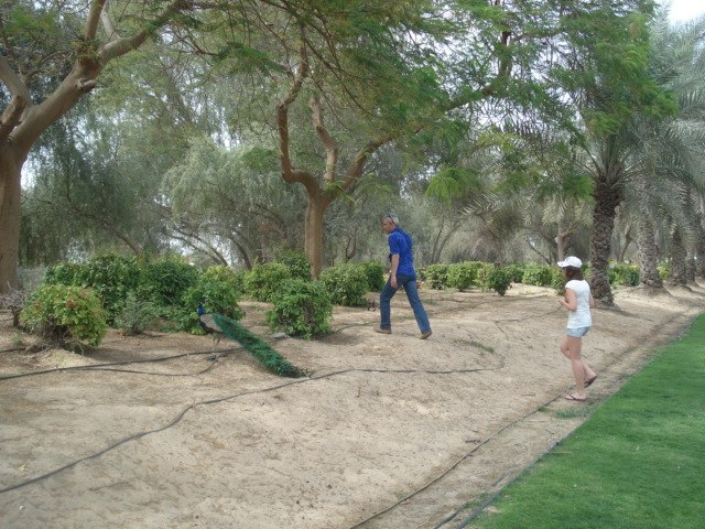 Александр Ермаков | Киев