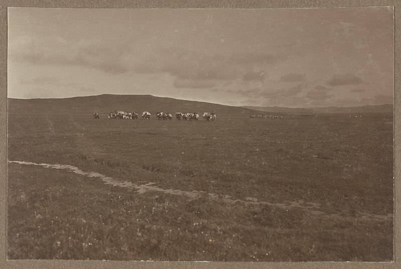 Анна Ярмош | Москва