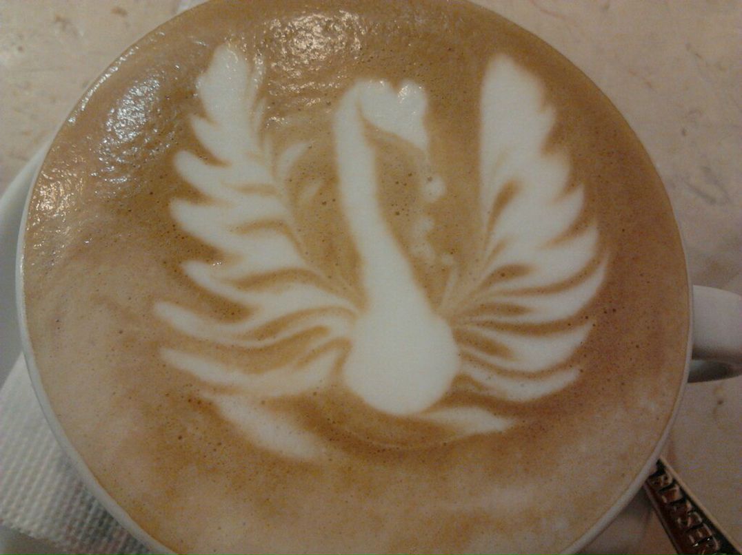 Дарья Заболотняя | Донецк