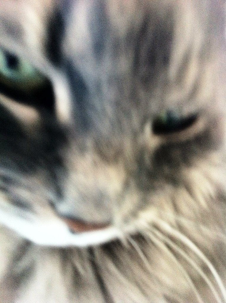 Наталья Кравцова | Москва