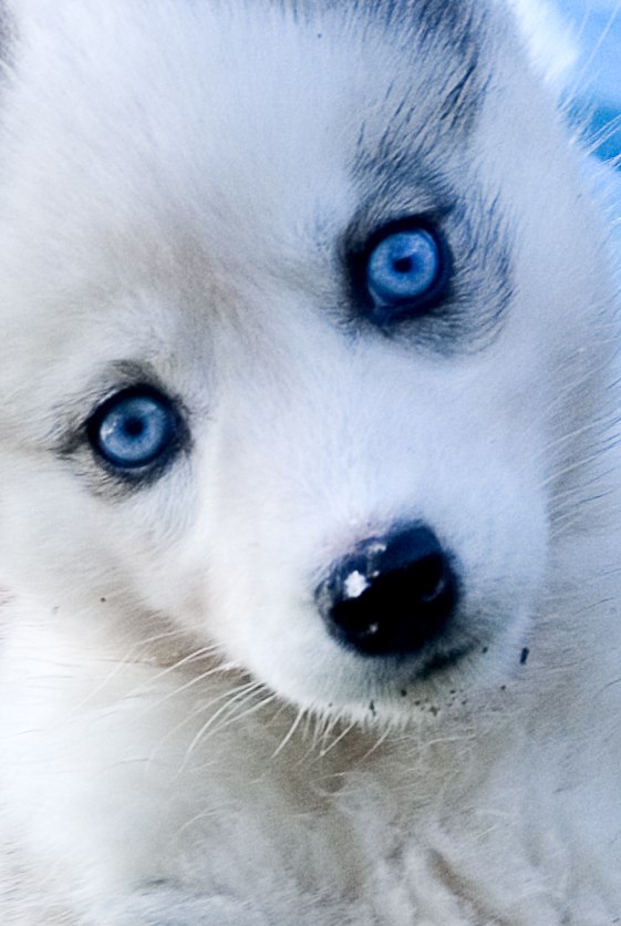 Мария Марчукова | Москва