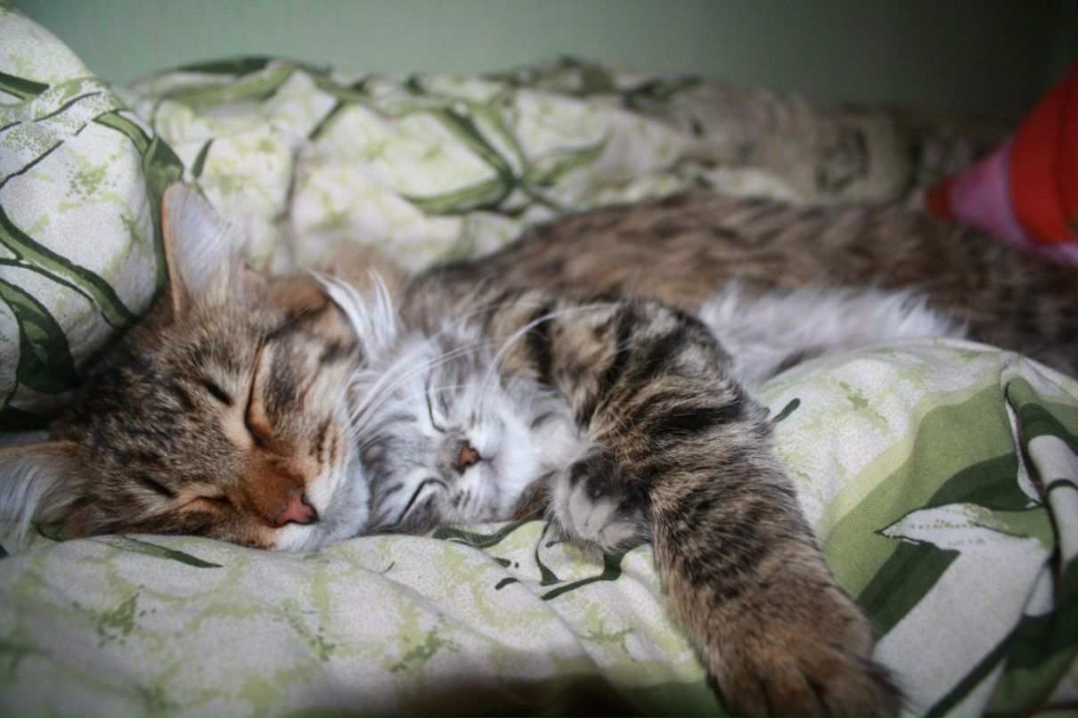 Анна Закирова | Казань