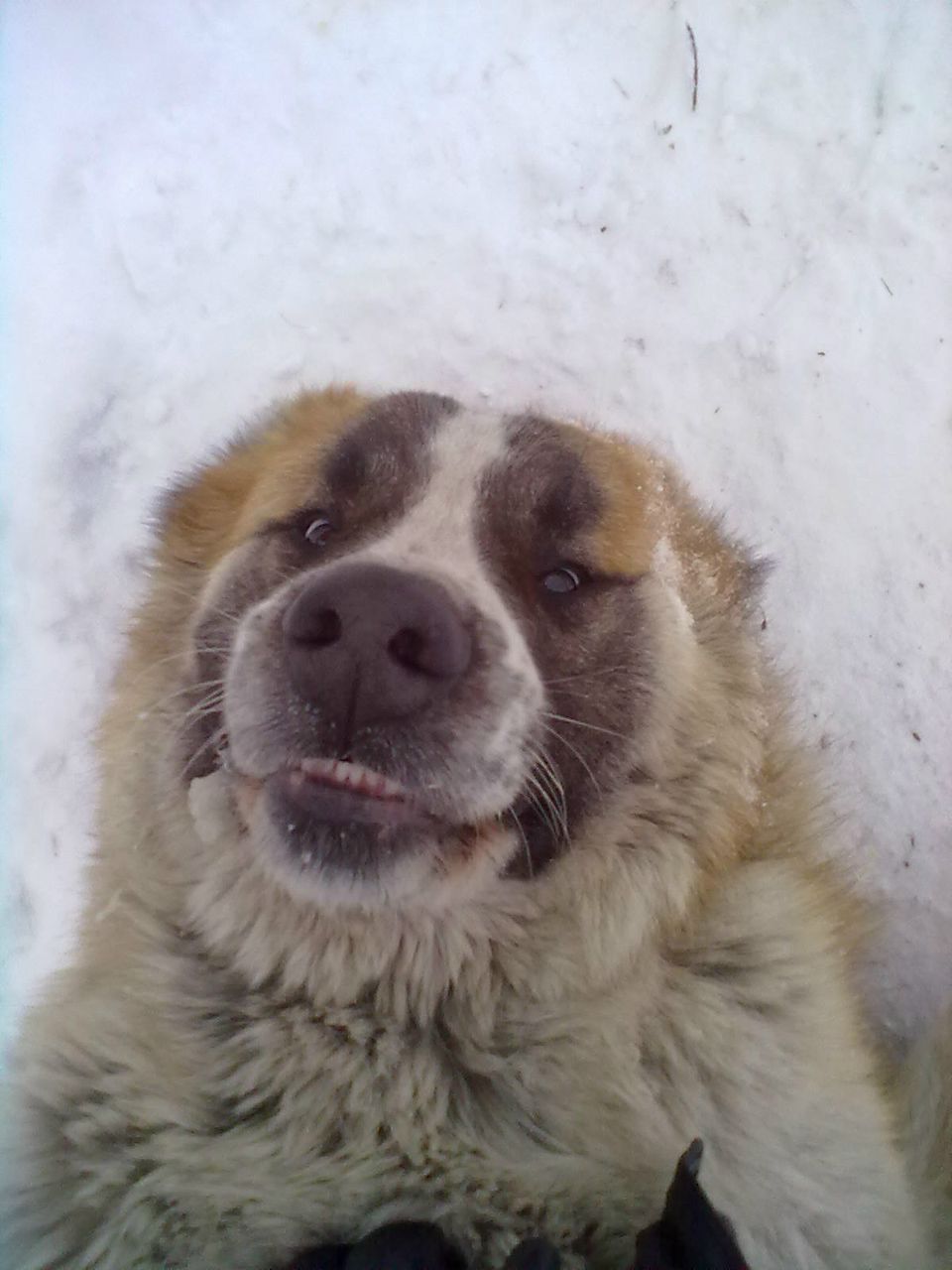 Алексей Киселёв | Усть-Илимск