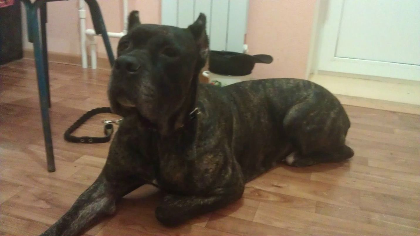 Кристина Бурдыко | Нарьян-Мар