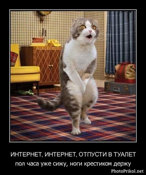 Оленька Августовская | Санкт-Петербург