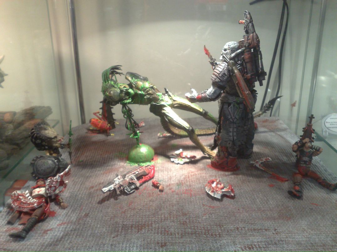 Николя Тиньков Zubrik | Москва