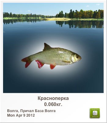 Валерий Гришин | Чаплыгин