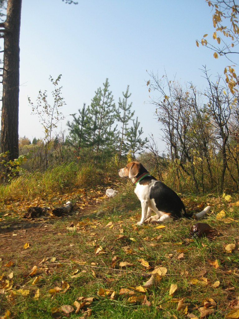 Полина Кулагина | Ижевск