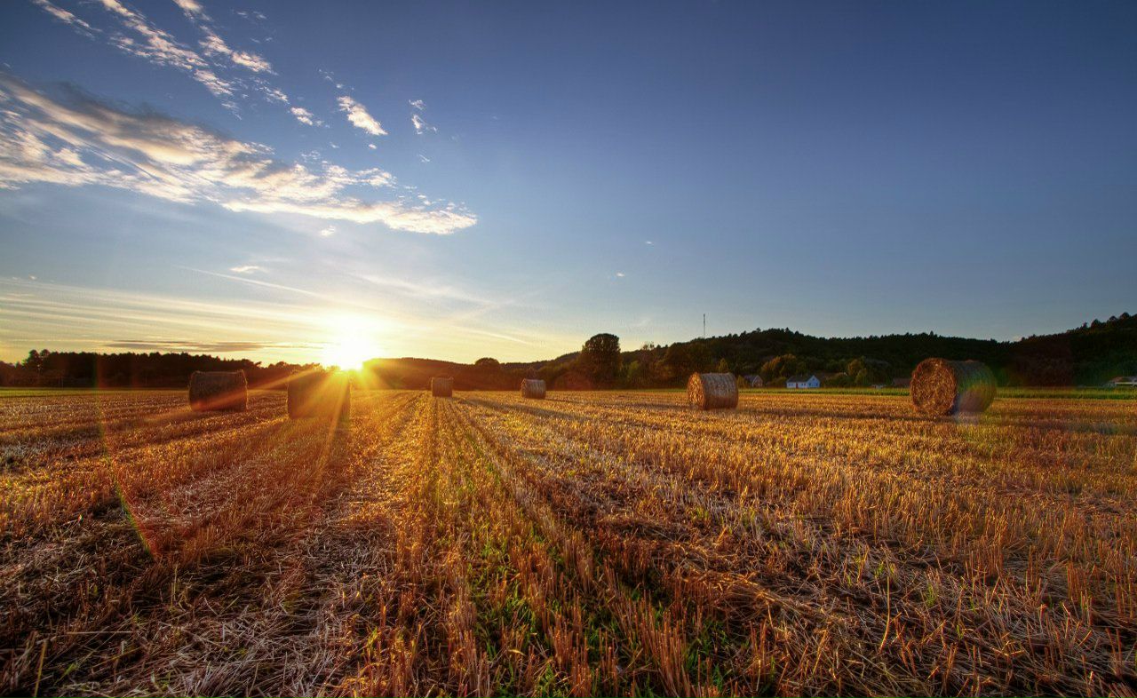 Иван Ширшиблев | Киров