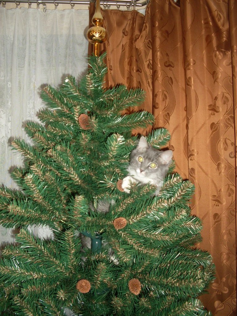 Инна Захарова | Санкт-Петербург