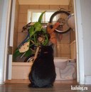 Фотография Васильевича Катастрофы